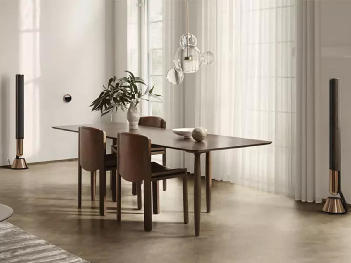 Hình ảnh chi tiết Loa B&O Beolab 28 góc chụp 2